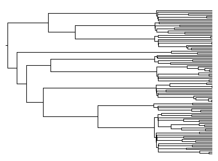 ComplexCoalescent_tree.png