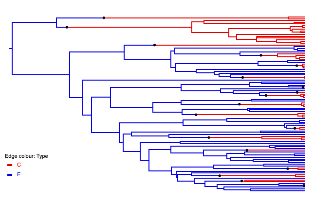 Ctree_output.png